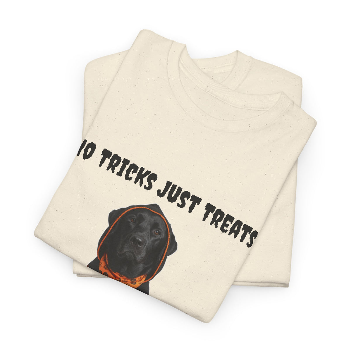No Tricks Just Treats Black Lab Halloween T-Shirt – Stay Weird Goods
