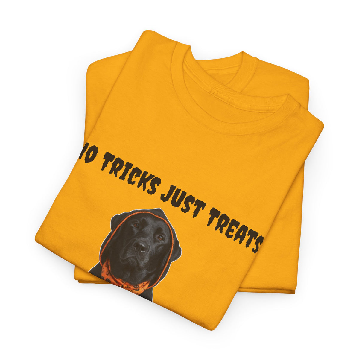 No Tricks Just Treats Black Lab Halloween T-Shirt – Stay Weird Goods